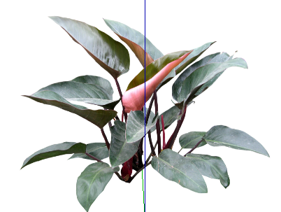 ֲSketchUpģ