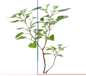 ֲSketchUpģ