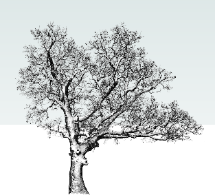 SketchUpģ