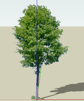 ɫľSketchUpģ
