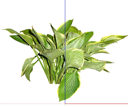 ֲSketchUpģ