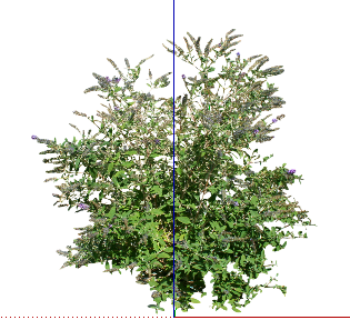 ֲSketchUpģ