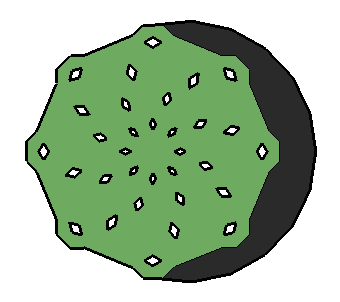 ƽֲSketchUpģ