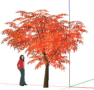 SketchUpģ