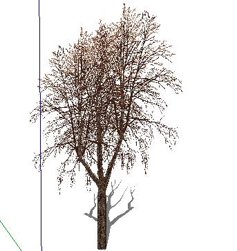 SketchUpģ