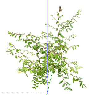 ֲSketchUpģ