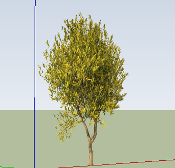 ֲSketchUpģ