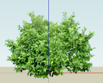 ֲSketchUpģ