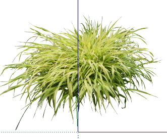 ֲSketchUpģ