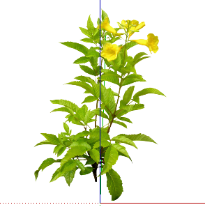 ֲSketchUpģ