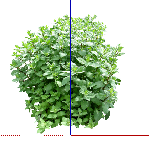 ֲSketchUpģ