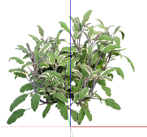 ֲSketchUpģ