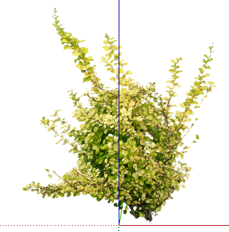 ֲSketchUpģ