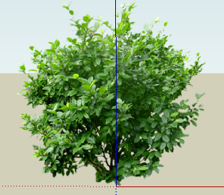 ֲSketchUpģ