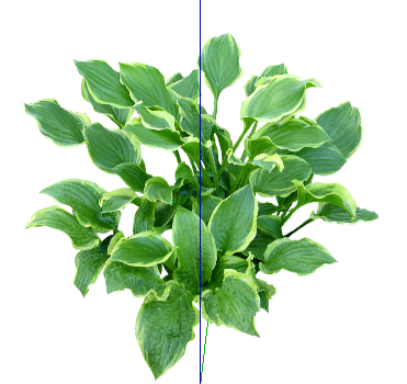 ֲSketchUpģ