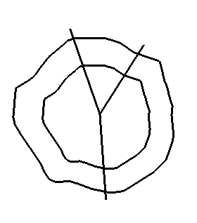 ƽֲSketchUpģ