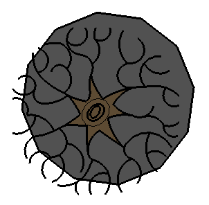 ƽֲSketchUpģ
