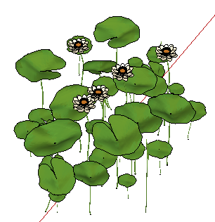 ɻSketchUpģ