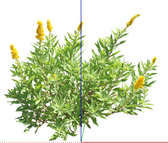 ֲSketchUpģ