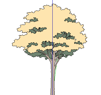 ֲֻSketchUpģ