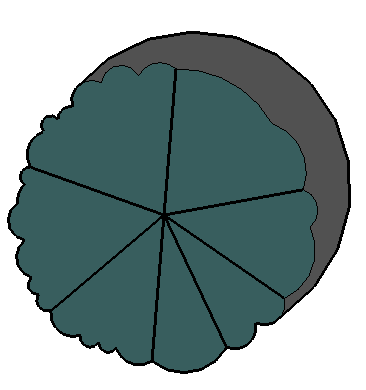 ƽֲSketchUpģ