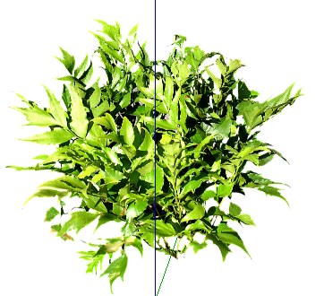ֲSketchUpģ