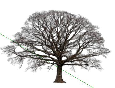 SketchUpģ