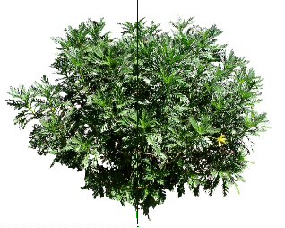 ֲSketchUpģ