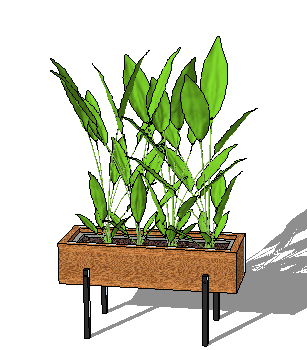 辰SketchUpģ
