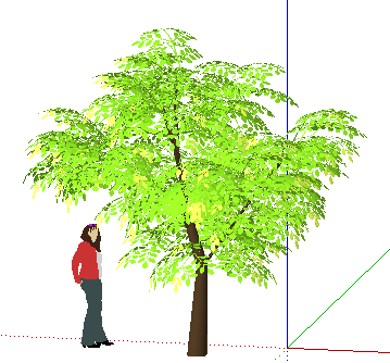 ɫľSketchUpģ