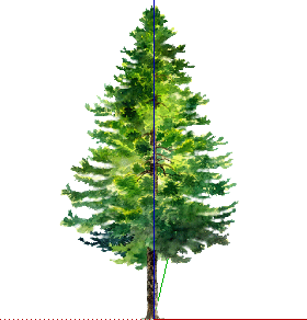 ֲֻSketchUpģ