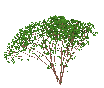 ɫľSketchUpģ