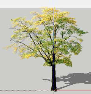ɫľSketchUpģ