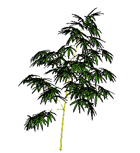 ɫľSketchUpģ