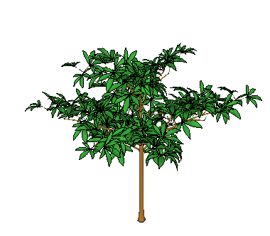 ɫľSketchUpģ