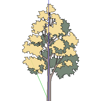 ֲֻSketchUpģ