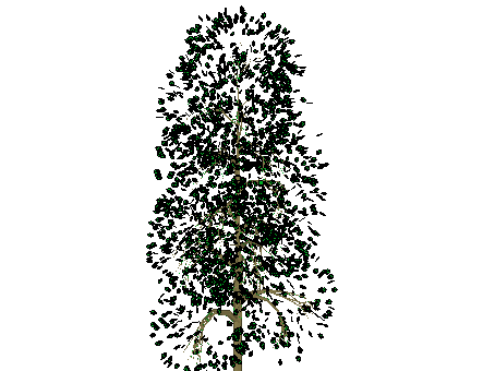 ɫľSketchUpģ