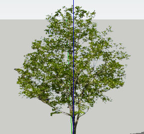 ɫľSketchUpģ