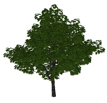 ɫľSketchUpģ