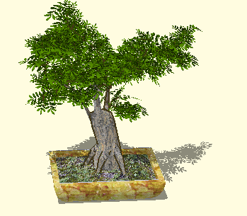 SketchUpģ