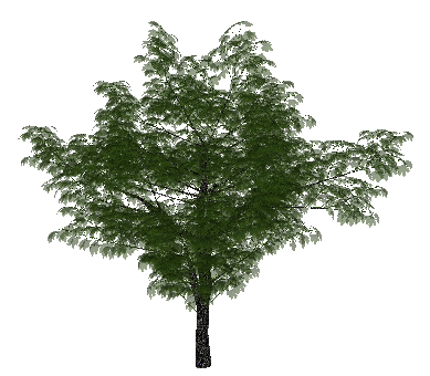 ɫľSketchUpģ