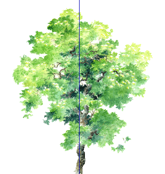 ֲֻSketchUpģ