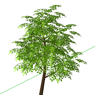 ɫľSketchUpģ