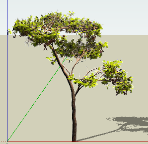 ɫľSketchUpģ