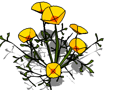 SketchUpģ