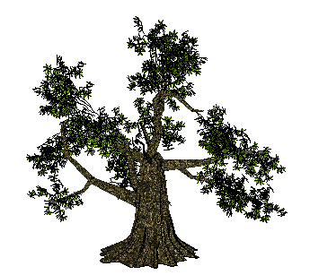 ɫľSketchUpģ