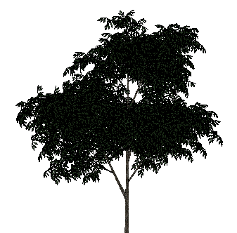 ɫľSketchUpģ
