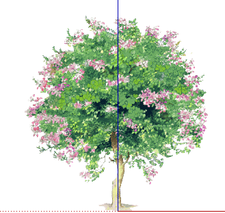 ֲֻSketchUpģ