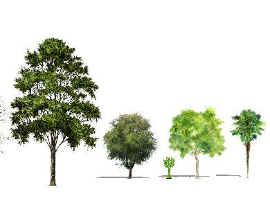 ֲֻSketchUpģ