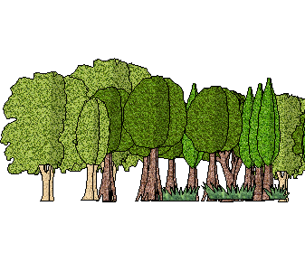 ֲֻSketchUpģ